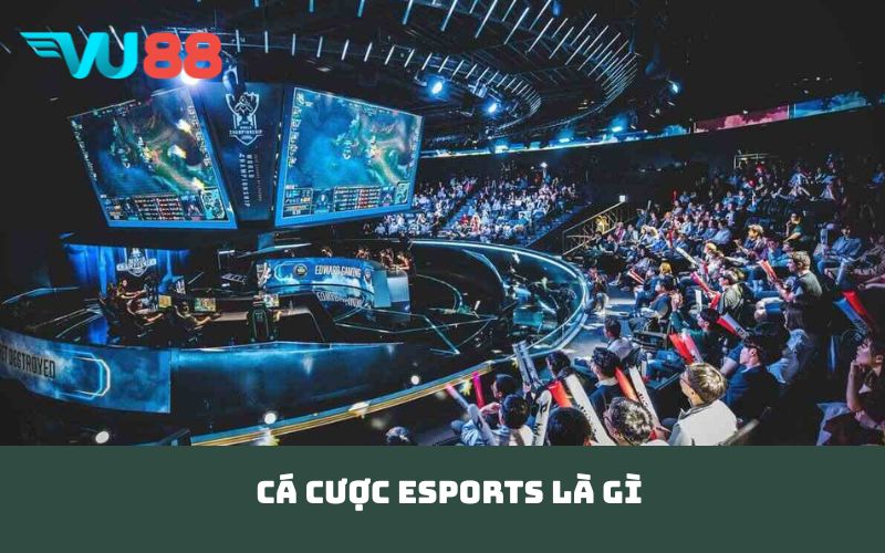 Cá cược Esports là gì