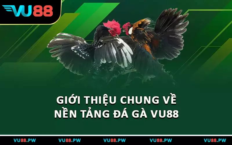 Giới thiệu chung về nền tảng đá gà VU88