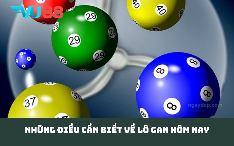 Những điều cần biết về lô gan hôm nay