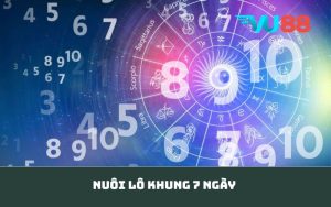 Nuôi lô khung 7 ngày
