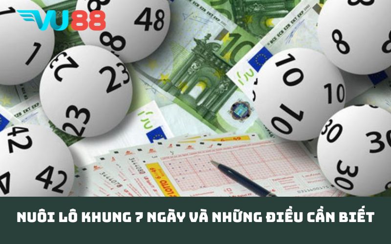 Nuôi lô khung 7 ngày và những điều cần biết