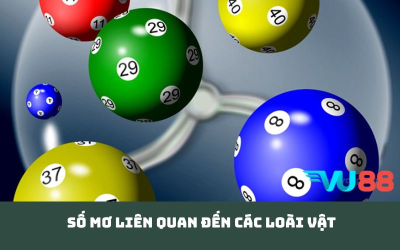 Số mơ liên quan đến các loài vật